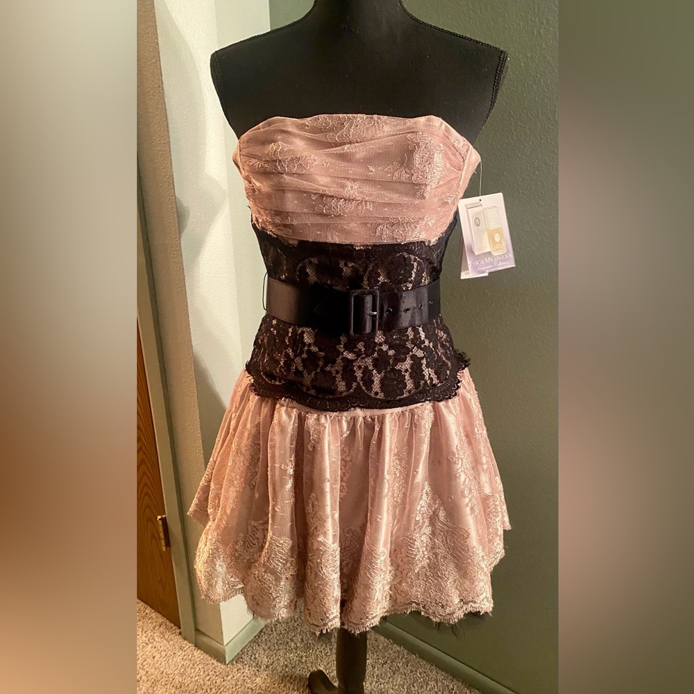 Jessica McClintock Strapless Dress-Size 2 New With Tags